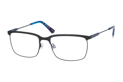 Designer briller Superdry SDO Fero 004