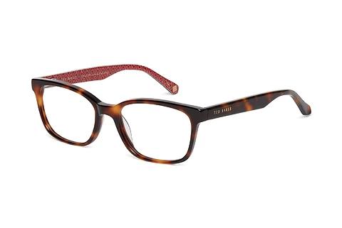 Designer briller Ted Baker 8230 106