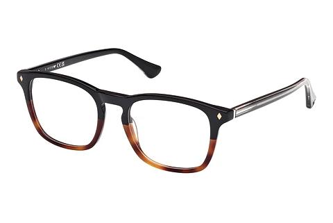 Designer briller Web Eyewear WE5386 056