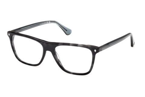 Designer briller Web Eyewear WE5475 056