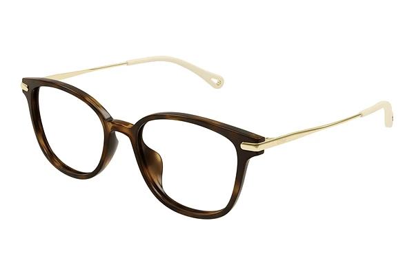 Designer briller Chloé CH0219OA 002