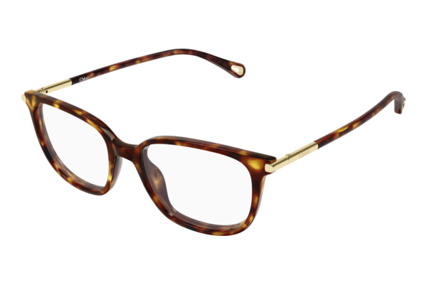 Designer briller Chloé CH0400O 002