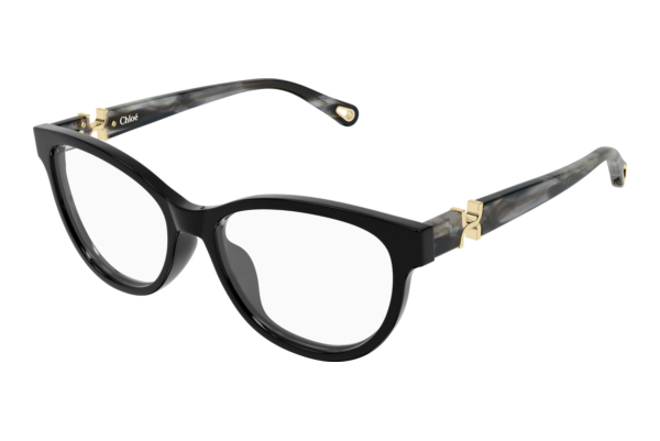 Designer briller Chloé CH0411OL 006