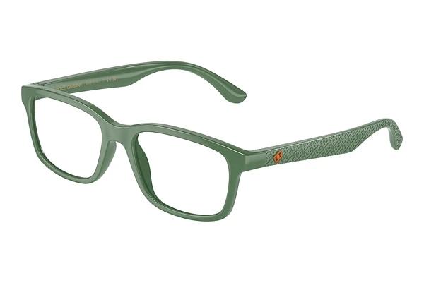 Designer briller Dolce & Gabbana DX5097 3329