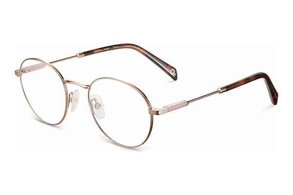 Designer briller Etnia Barcelona CENTRAL PARK PGHV