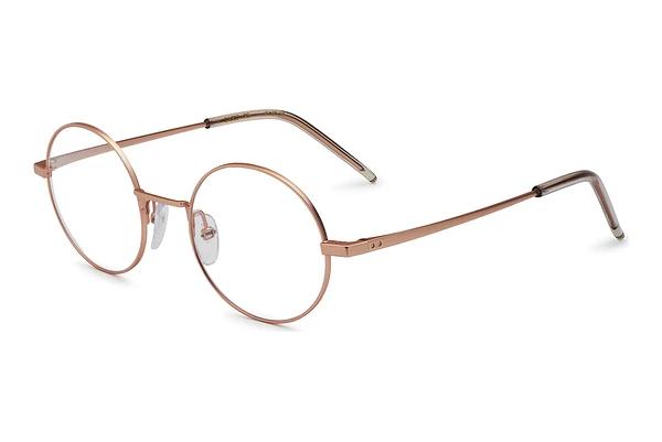 Designer briller Etnia Barcelona DARIO PG