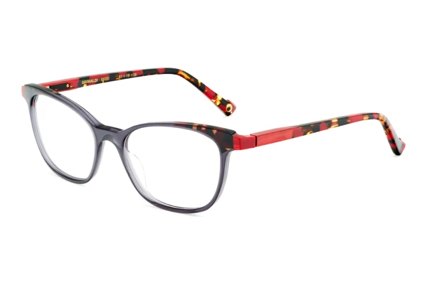 Designer briller Etnia Barcelona GRIMALDI BKRD