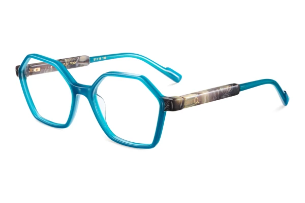 Designer briller Etnia Barcelona XYLO TQGY