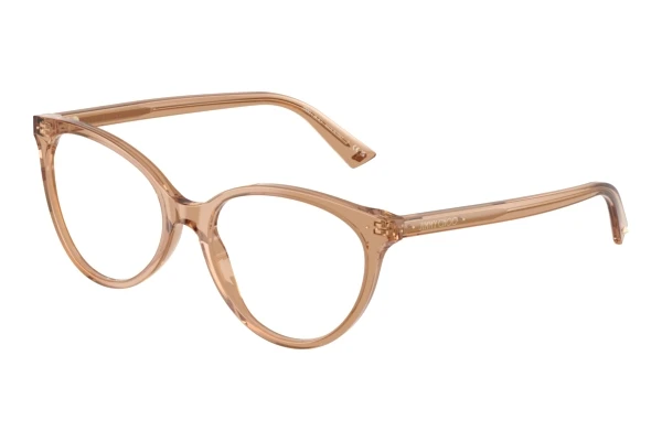 Designer briller Jimmy Choo JC3047 5076