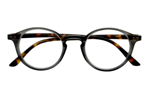  I NEED YOU SASHA G73900 grau havanna D3.00