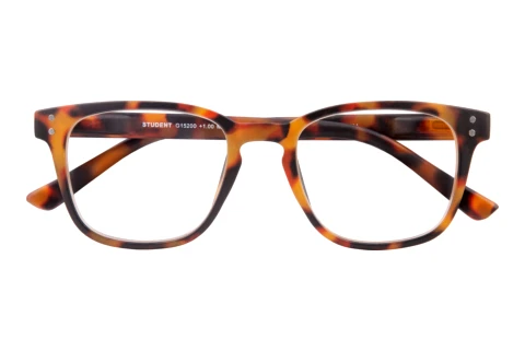  I NEED YOU STUDENT G15200 havanna D1.50