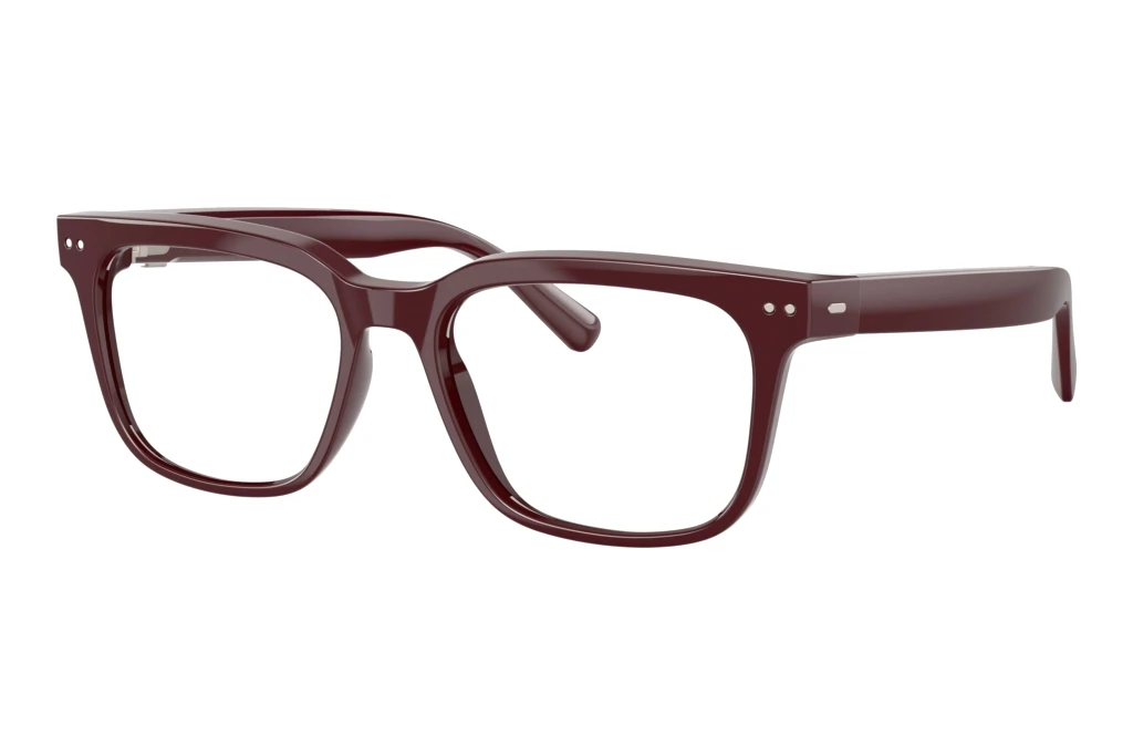 Nuance Audio   AW5001 05 Shiny Burgundy