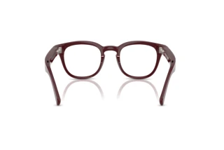 Bagside Nuance Audio PANTHOS 48 (AW5002 - 05)