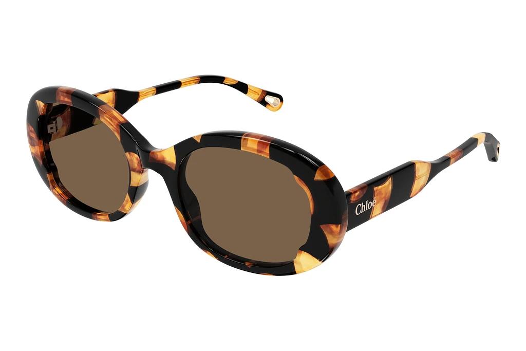 Chloé   CH0197S 003 HAVANA