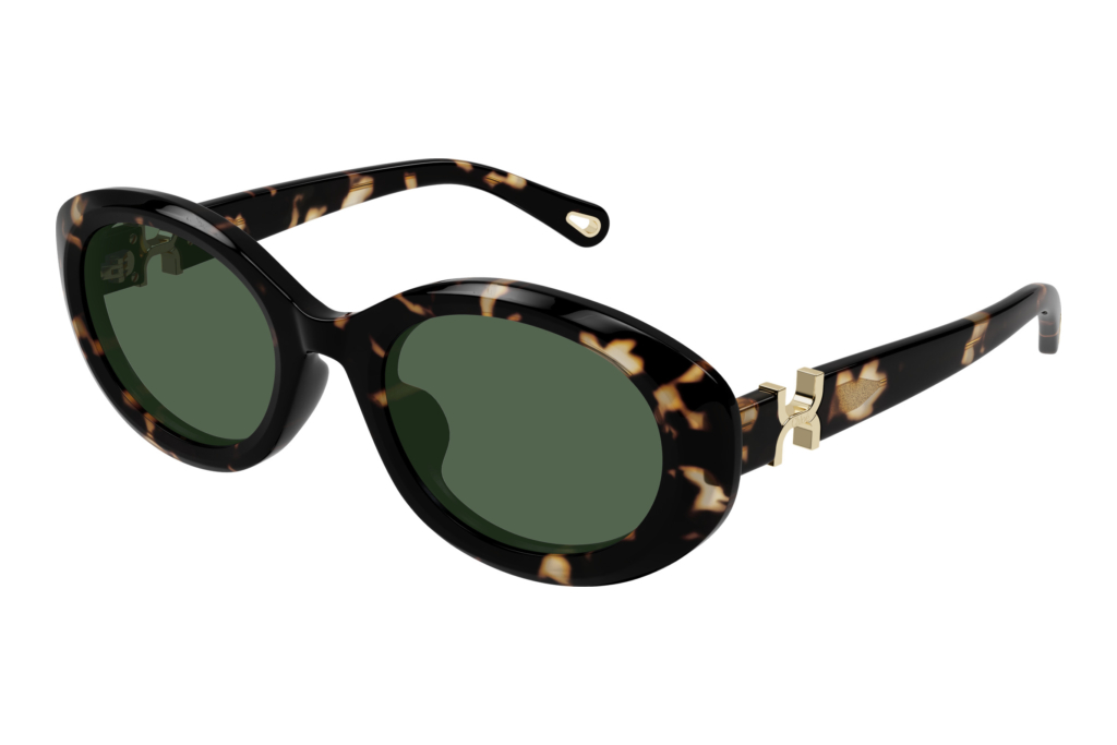 Chloé   CH0323SK 002 HAVANA