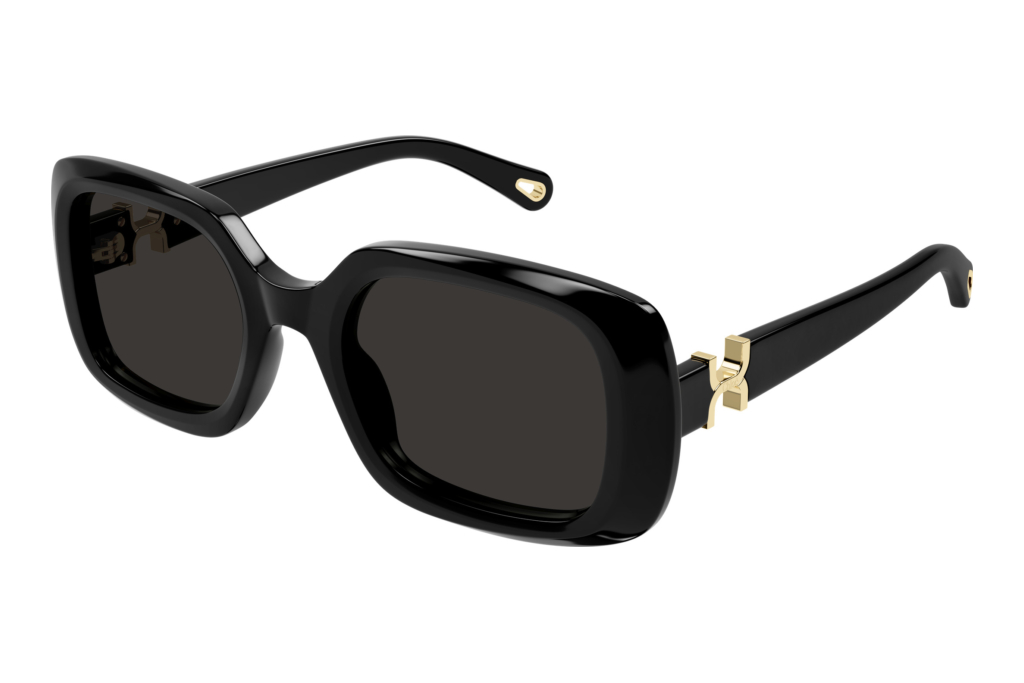 Chloé   CH0333S 001 BLACK