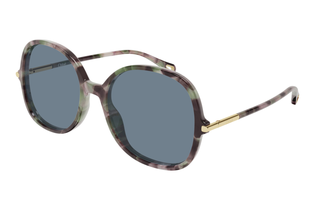 Chloé   CH0383S 003 HAVANA