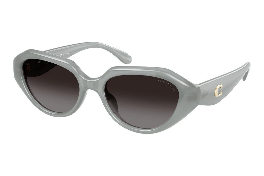 Coach   HC8433U 5905T3 GreyMilky Eucalyptus