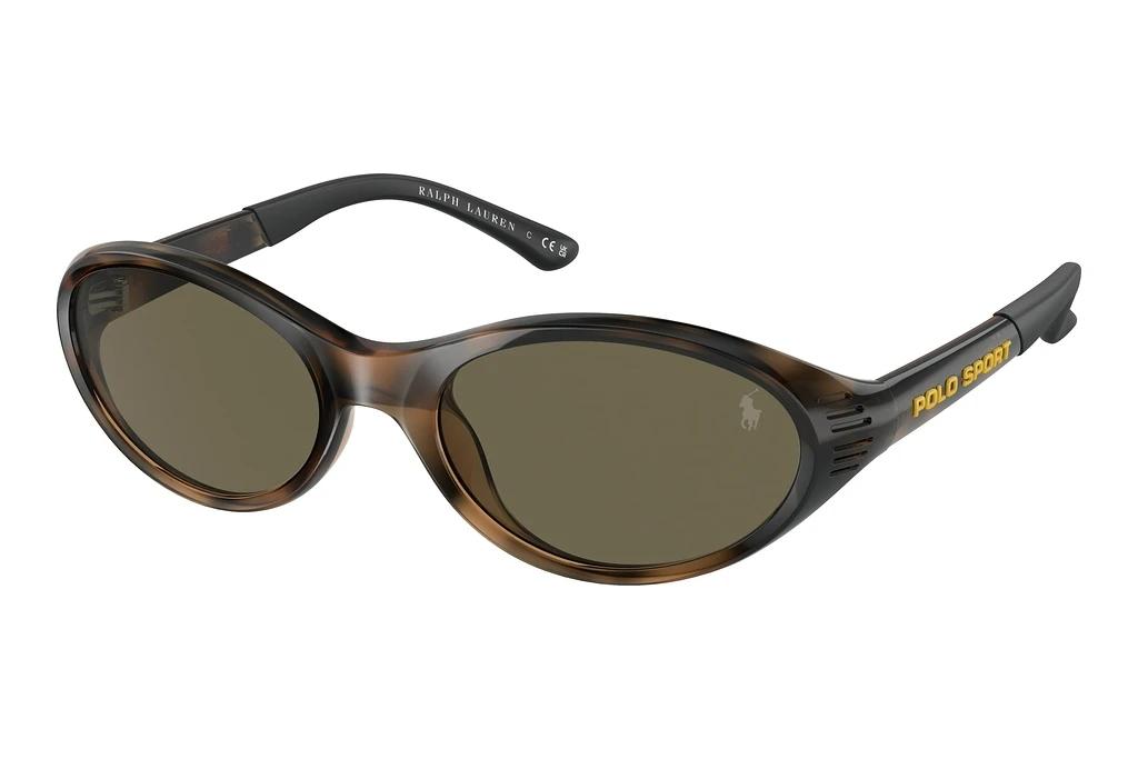 Polo   PH4197U 5003/3 BrownShiny Havana