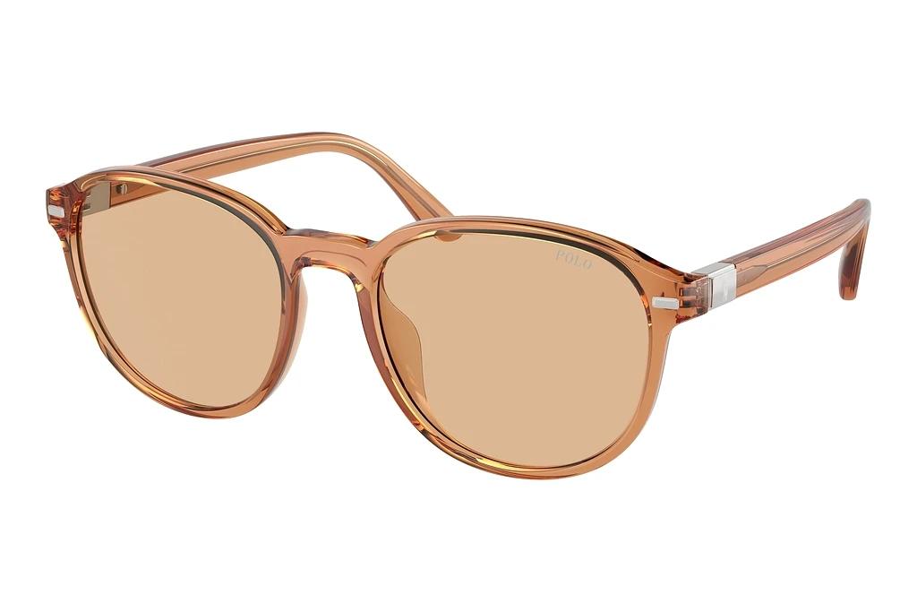 Polo   PH4207U 604873 Light BrownShiny Transparent Brown