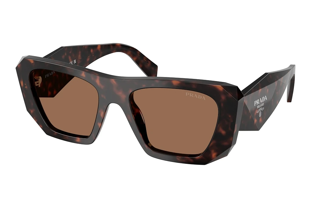 Prada   PR B18S 17N06B Dark BrownRoot Tortoise