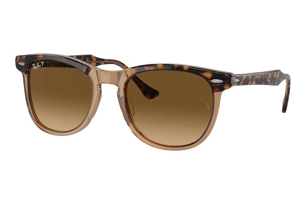 Ray-Ban   RB2398 1292M2 BrownHavana On Transparent Brown