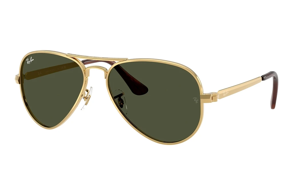 Ray-Ban   RB3925 001/31 GreenArista Gold