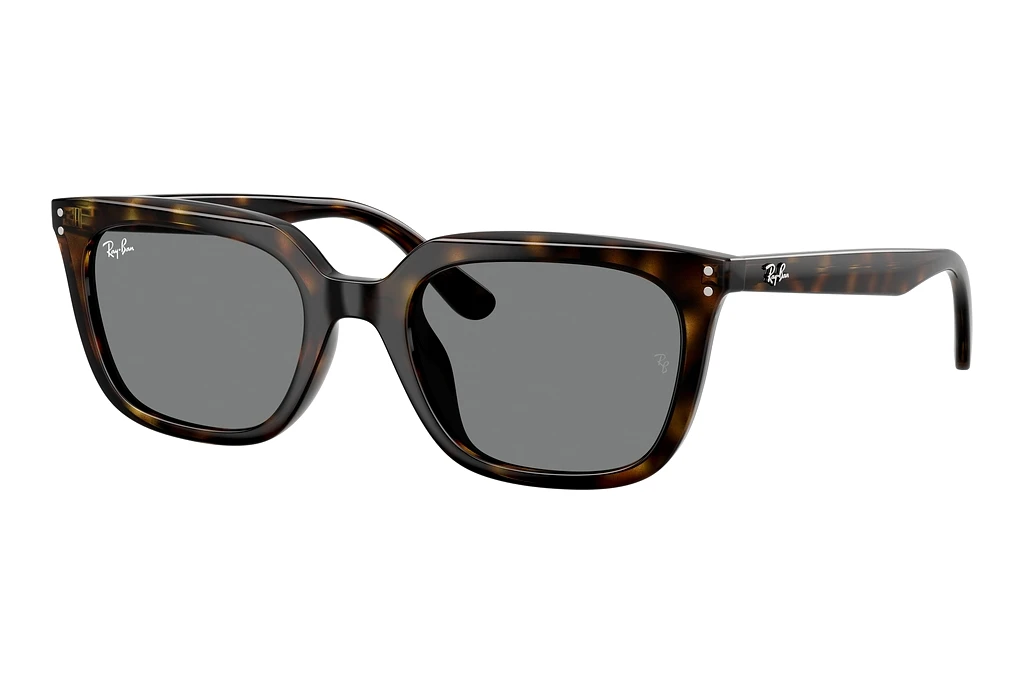 Ray-Ban   RB4439D 710/87 Dark GreyHavana
