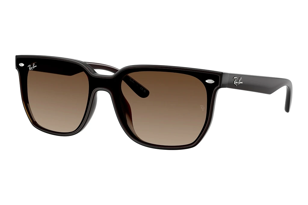 Ray-Ban   RB4466D 714/13 Brown GradientTransparent Dark Brown