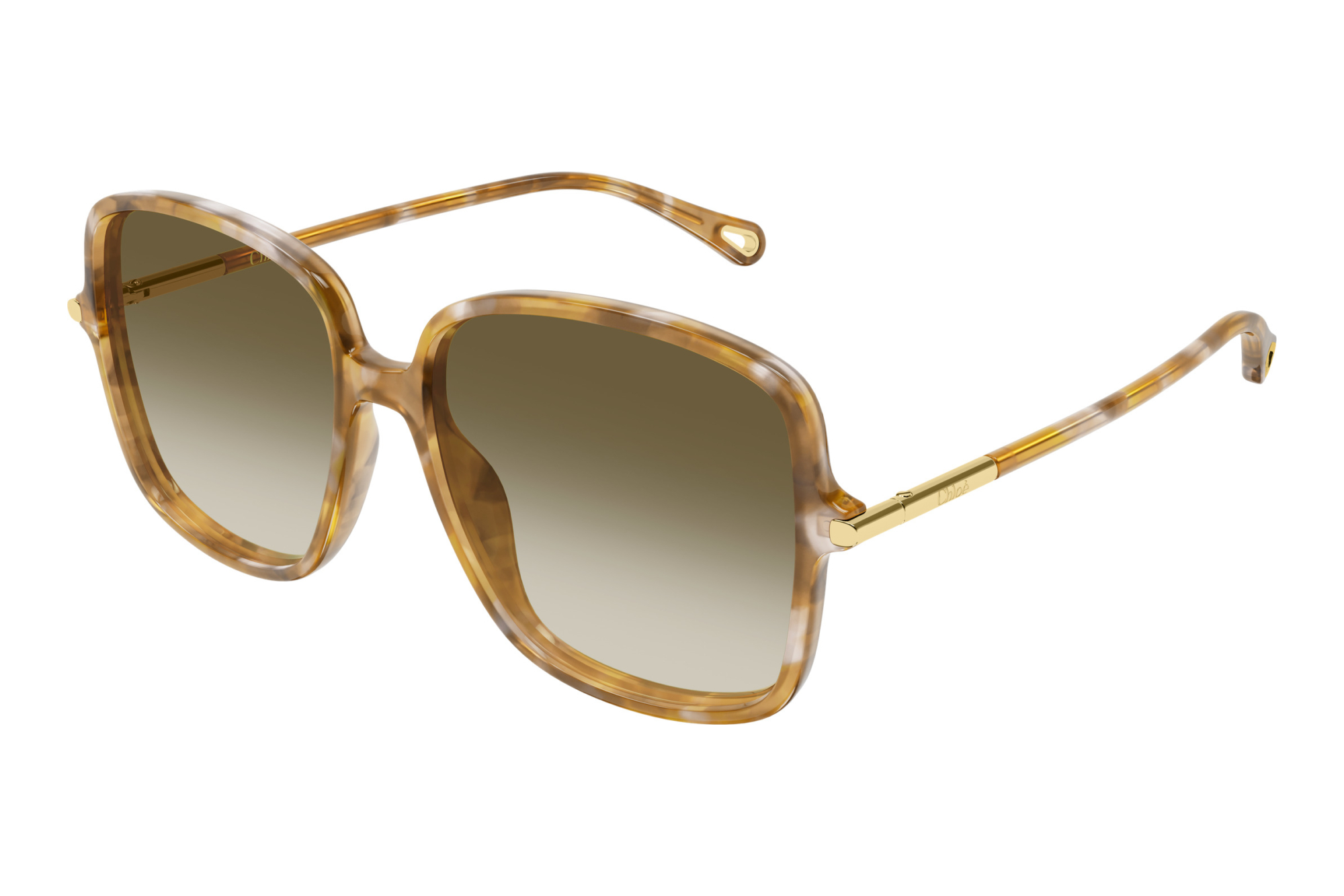 Chloé   CH0396S 003 HAVANA