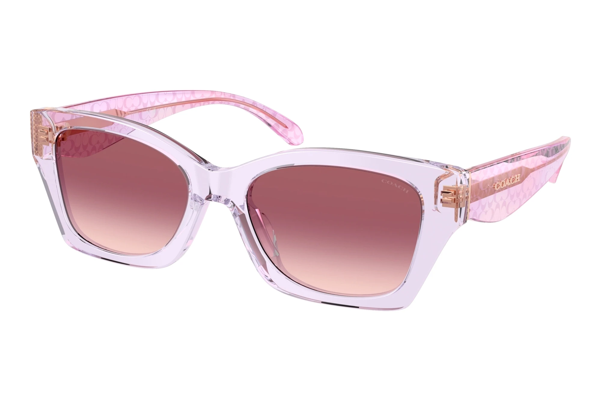 Coach   HC8451U 59367W Purple Pink GradientTransparent Iris
