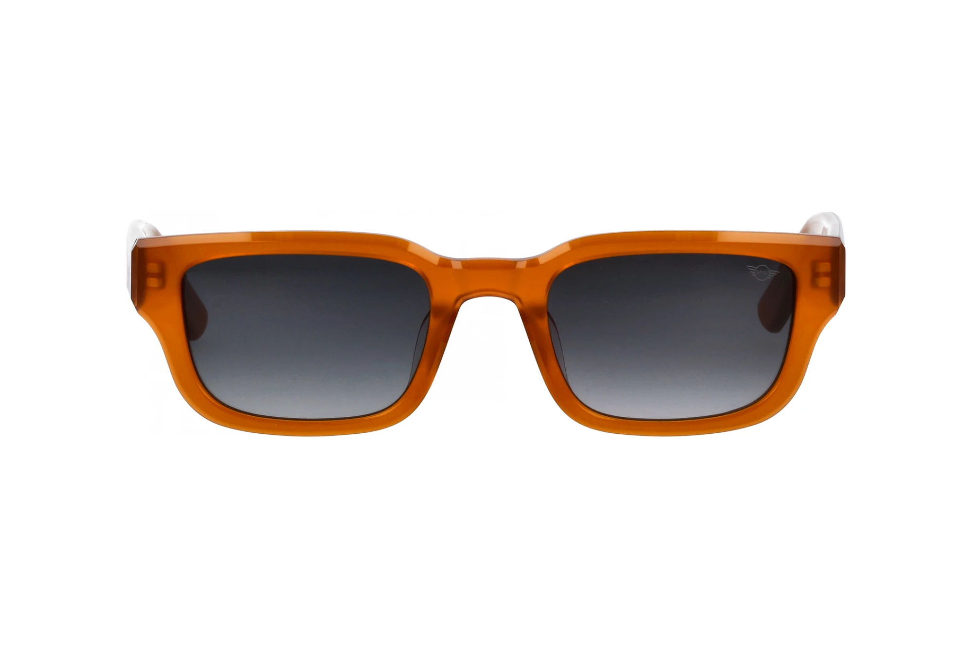 Forfra MINI Eyewear MI 746022 (60)