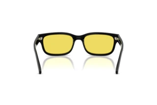 Bagside Arnette DEFYER (AN4363 - 290085)