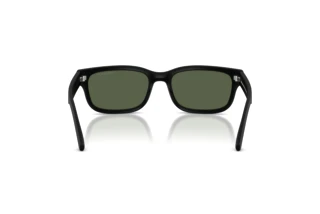 Bagside Arnette DEFYER (AN4363 - 29009A)