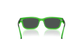 Bagside Arnette DEFYER (AN4363 - 301487)