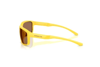 Sidevisning Arnette AN4373 (304273)