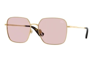 Forfra Burberry BE3180 (1017/5)