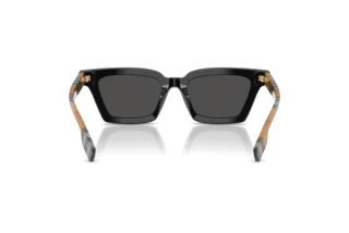 Bagside Burberry BRIAR (BE4392U - 395287)