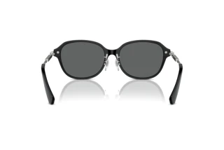 Bagside Burberry BE4429D (300187)