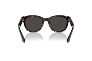 Bagside Burberry BE4432U (300287)