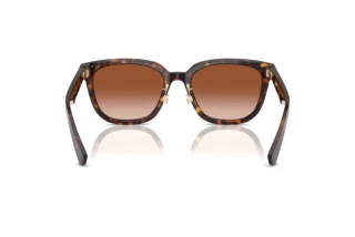 Bagside Burberry BE4446D (300213)