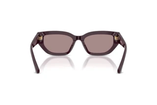 Bagside Burberry BE4463D (3400LA)