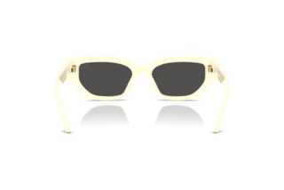 Bagside Burberry BE4463D (415887)