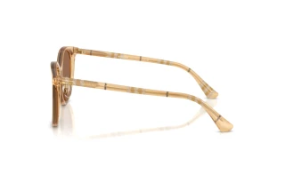 Sidevisning Burberry BE4464D (416773)