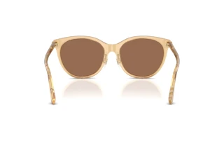 Bagside Burberry BE4464D (416773)