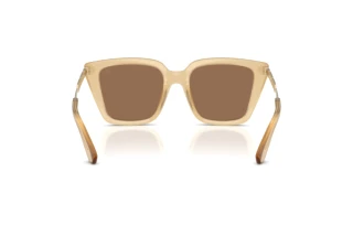 Bagside Burberry BE4473U (419873)