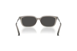 Bagside Burberry BE4481D (419787)