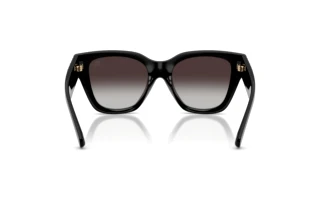 Bagside Burberry BE4489U (300187)