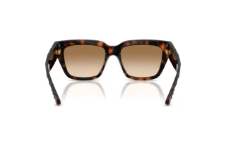 Bagside Burberry BE4506U (300289)
