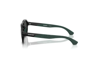 Sidevisning Burberry JB4005U (300187)